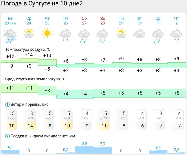 Первый снег в Сургуте, по прогнозу Gismeteo, ожидается в субботу  | Источник: Gismeteo 