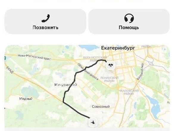 Данные о водителе, автомобиле и маршруте остались в приложении | Источник: «ЗООзащита»