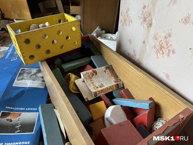 Источник: Алина Мельникова / MSK1.RU