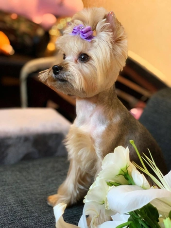 Источник: buzova86 / Instagram (экстремистская организация, деятельность запрещена на территории РФ)
