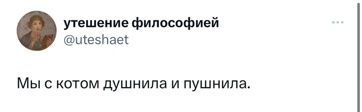 Шутки среды и «избегающий тип обязанностей»