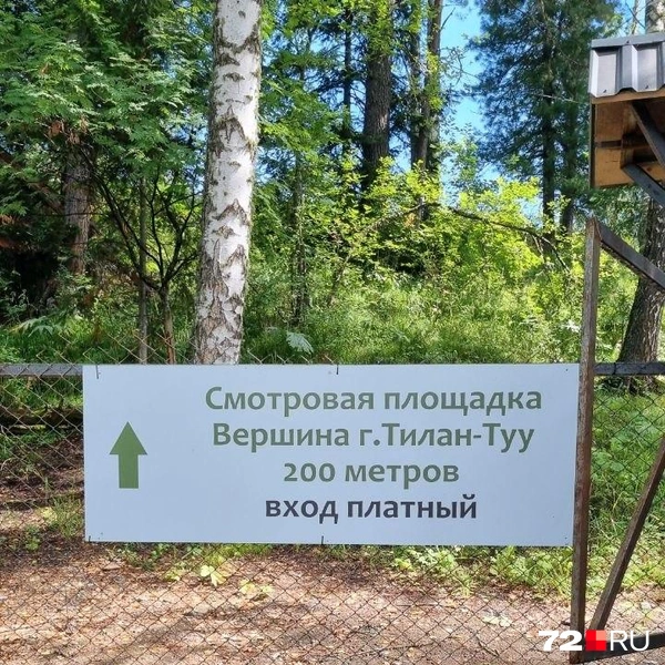 Источник: Наталья Чалкова специально для 72.RU