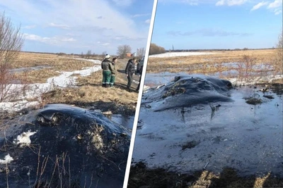 Полиция ищет виновника разлива нефтепродуктов под Архангельском