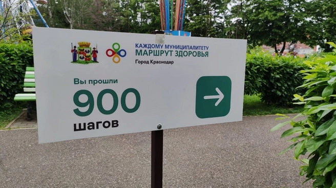 Информационный стенд | Источник: Пресс-служба администрации Краснодара