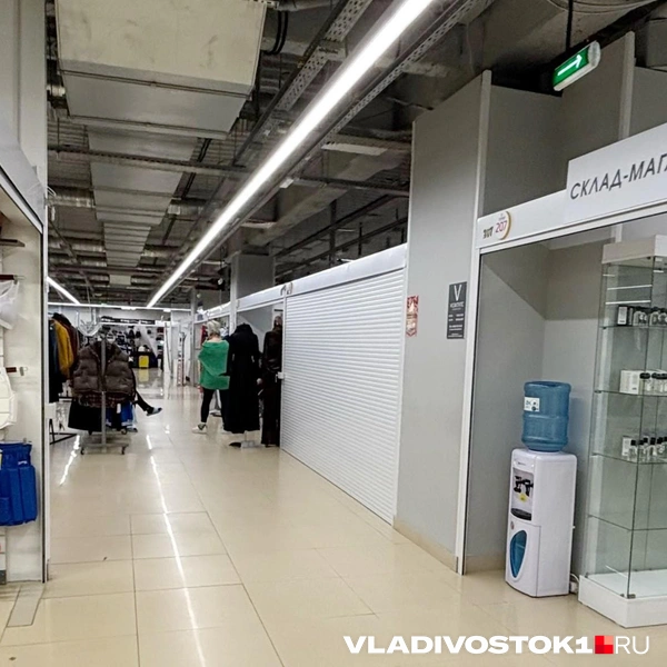 Источник: Елена Буйвол / VLADIVOSTOK1.RU