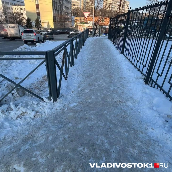 Источник: Елена Буйвол / VLADIVOSTOK1.RU