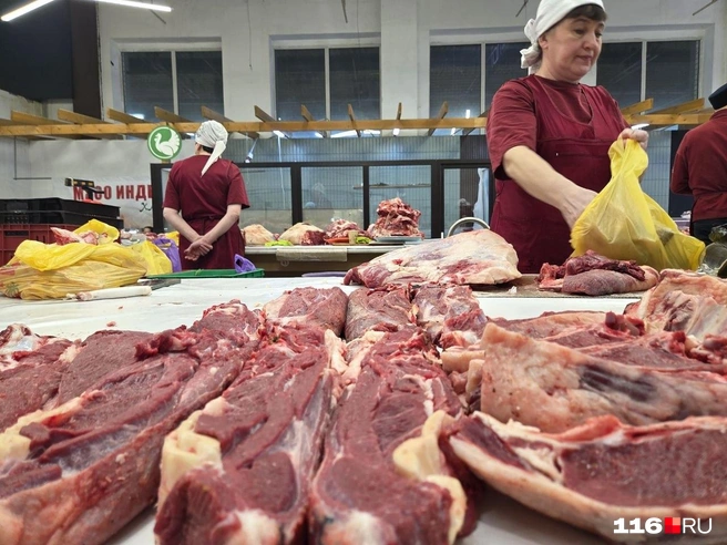 Источник: Дарья Елисейчева / 116.RU