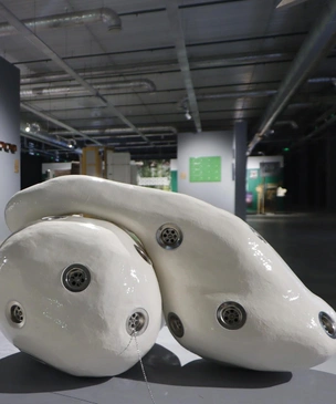 Фестиваль современного искусства «Зарайск: перезагрузка»