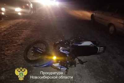 Водителя повозки отправили в колонию за гибель мотоциклиста