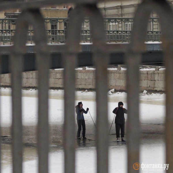 Источник: Михаил Огнев / FONTANKA.RU