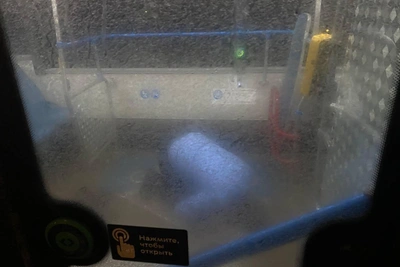 Водитель автобуса совершил намаз в салоне — законно?