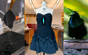 Наряд райской птицы: модельер создала платье из самой черной ткани в мире