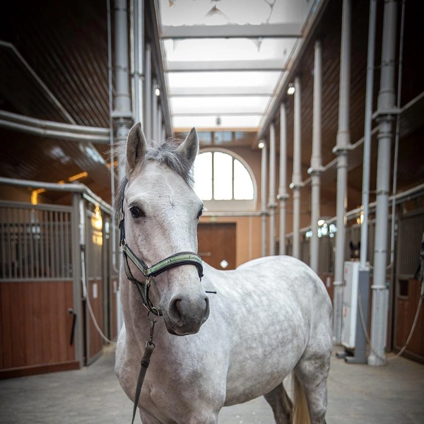Источник: ГМЗ «Царское село»