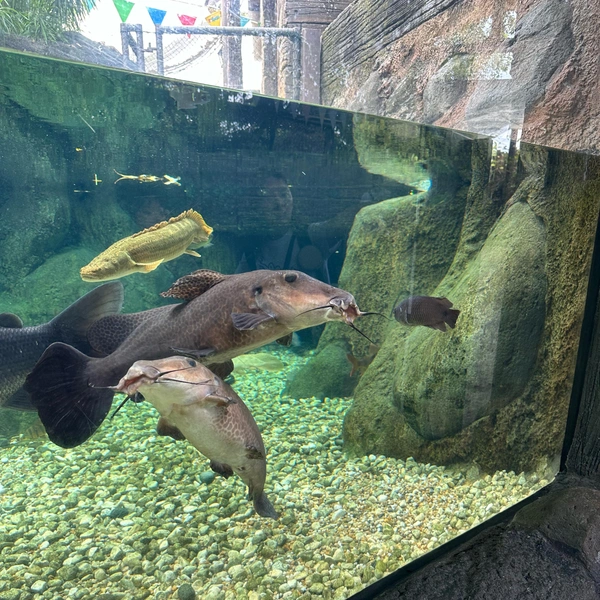 River Wonders в Сингапуре | Источник: Габриелла Захарова / 26.RU