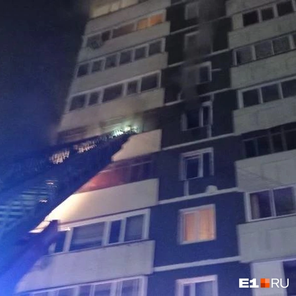 Источник: ИА «Ночные новости»