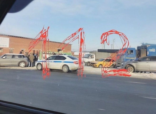 При стрельбе на трассе М5 в Рыбновском районе погиб полицейский | ya62.ru