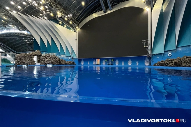 Источник: Елена Буйвол / VLADIVOSTOK1.RU