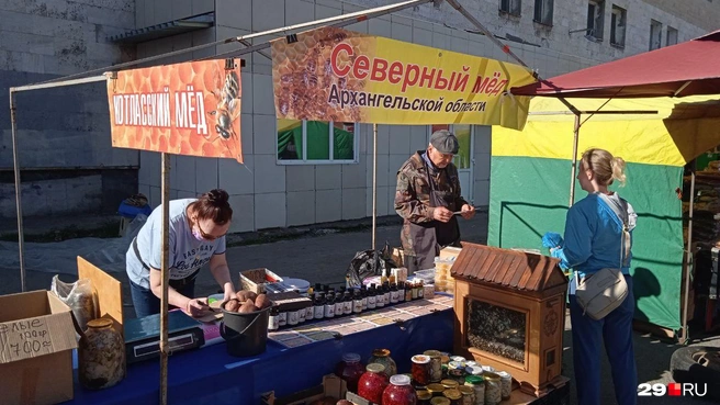 Источник: Юрий Скородумов / 29.RU
