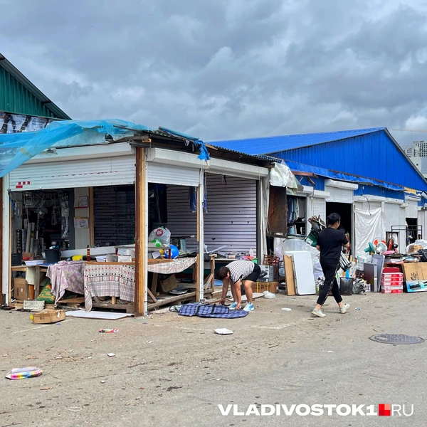 Источник: Елена Буйвол / VLADIVOSTOK1.RU
