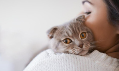 Сколько кошка может оставаться одна: мнение ветеринаров