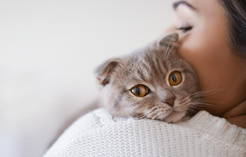 Сколько кошка может оставаться одна: мнение ветеринаров
