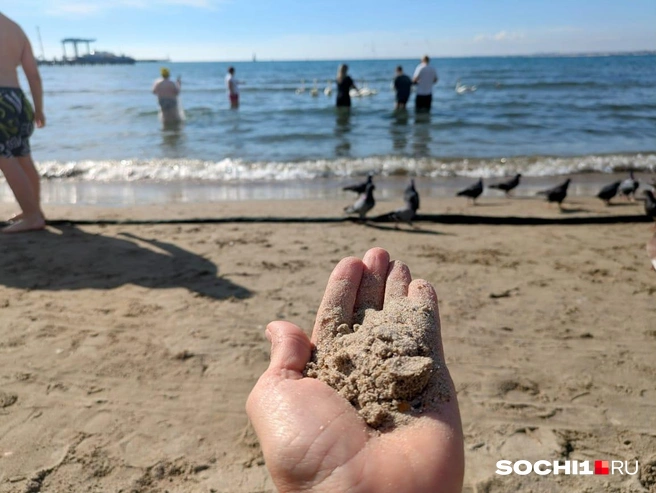 Визуально песок на пляже чистый | Источник: Оксана Витязь / SOCHI1.RU