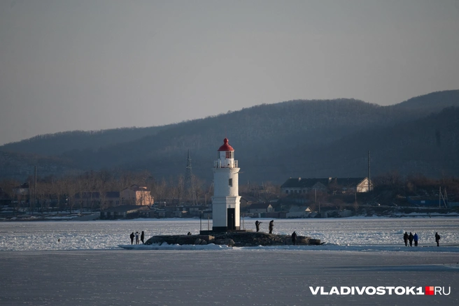 Источник: Елена Буйвол / VLADIVOSTOK1.RU