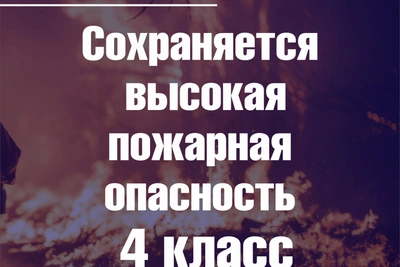 Высокая пожарная опасность 4 класса сохраняется во Владимирской области