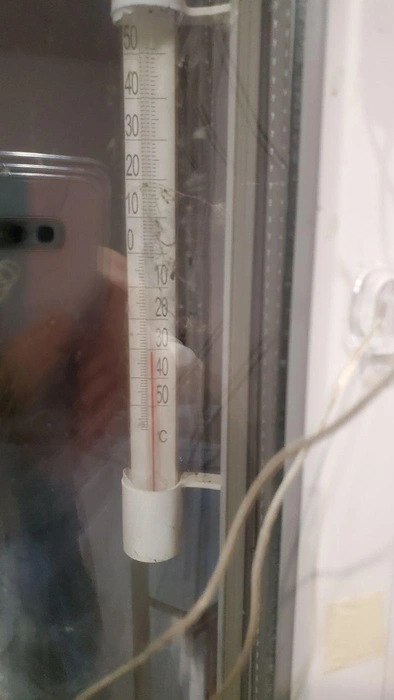 — Кинель-Черкассы, утром -31 °C, — подписала снимок наша читательница | Источник: читатель 63.RU