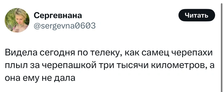 Источник: X (Twitter)