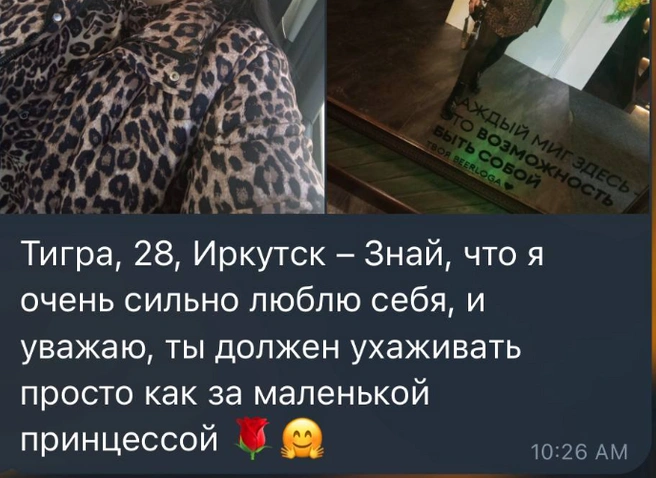 Иркутская львица (хотя по цвету скорее леопард) | Источник: Telegram