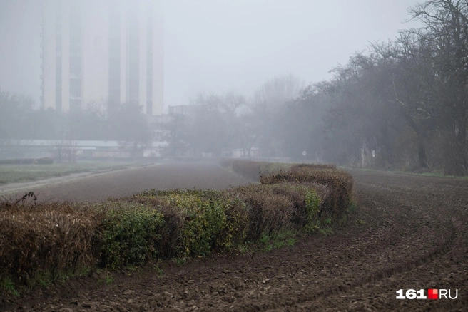 В Ростове самый длинный скаковой круг среди ближайших ипподромов. Его длина почти два километра | Источник: Евгений Вдовин / 161.RU