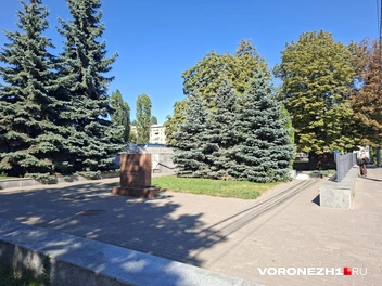 Источник: Алёна Воропаева / Voronezh1.ru
