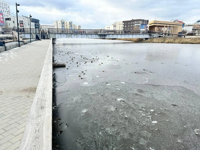 Скамейку вытащили из озера | Источник: Илья Константинов / T.me