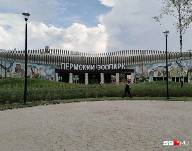 Новый зоопарк открыли на Нагорном | Источник: читатель 59.RU