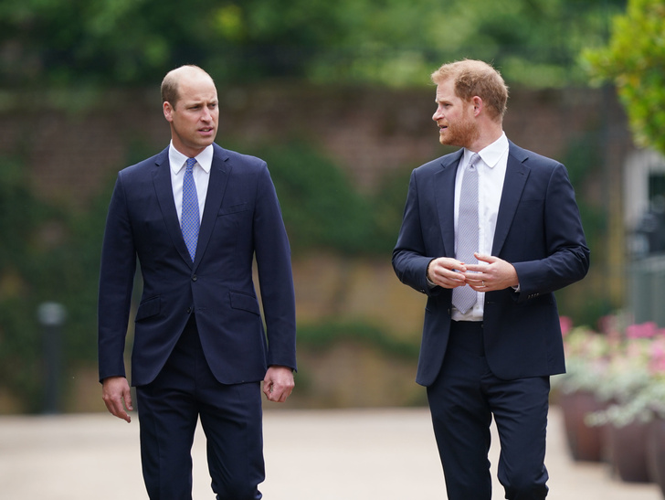 Разборки по-королевски: Принц Гарри подрался с принцем Уильямом из-за Меган Маркл