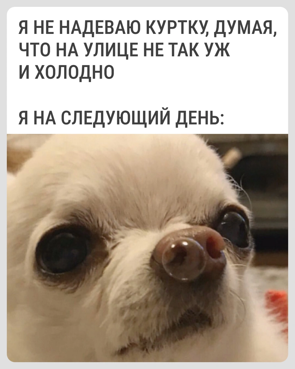 Уже шмыгаете? | Источник: Городские медиа