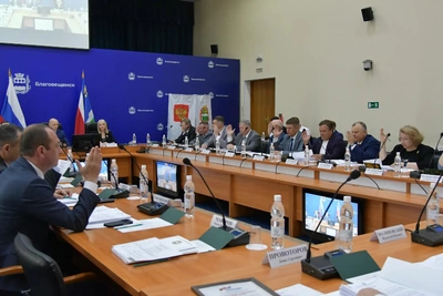 В Благовещенске запретили парковаться с помехами для спецтехники