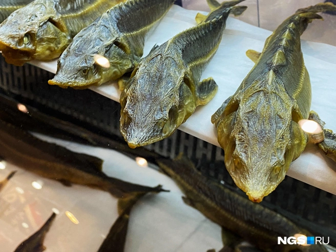 Стерлядь, выращенная на ферме под Новосибирском  | Источник: Стас Соколов / NGS.RU