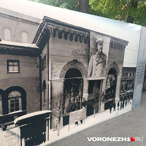 Источник: Алёна Воропаева / Voronezh1.ru