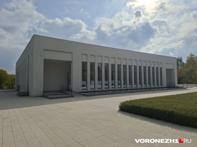 Источник: Алёна Воропаева / Voronezh1.ru