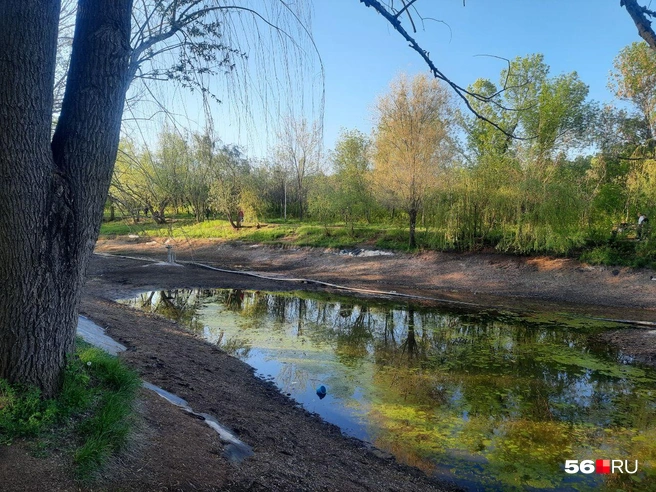Фонтан на озере в парке «Ивушка» | Источник: Анастасия Баринова / 56.RU