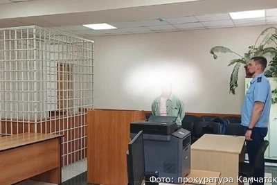 Камчатская бизнес-леди осуждена за мошенничество на 31 млн