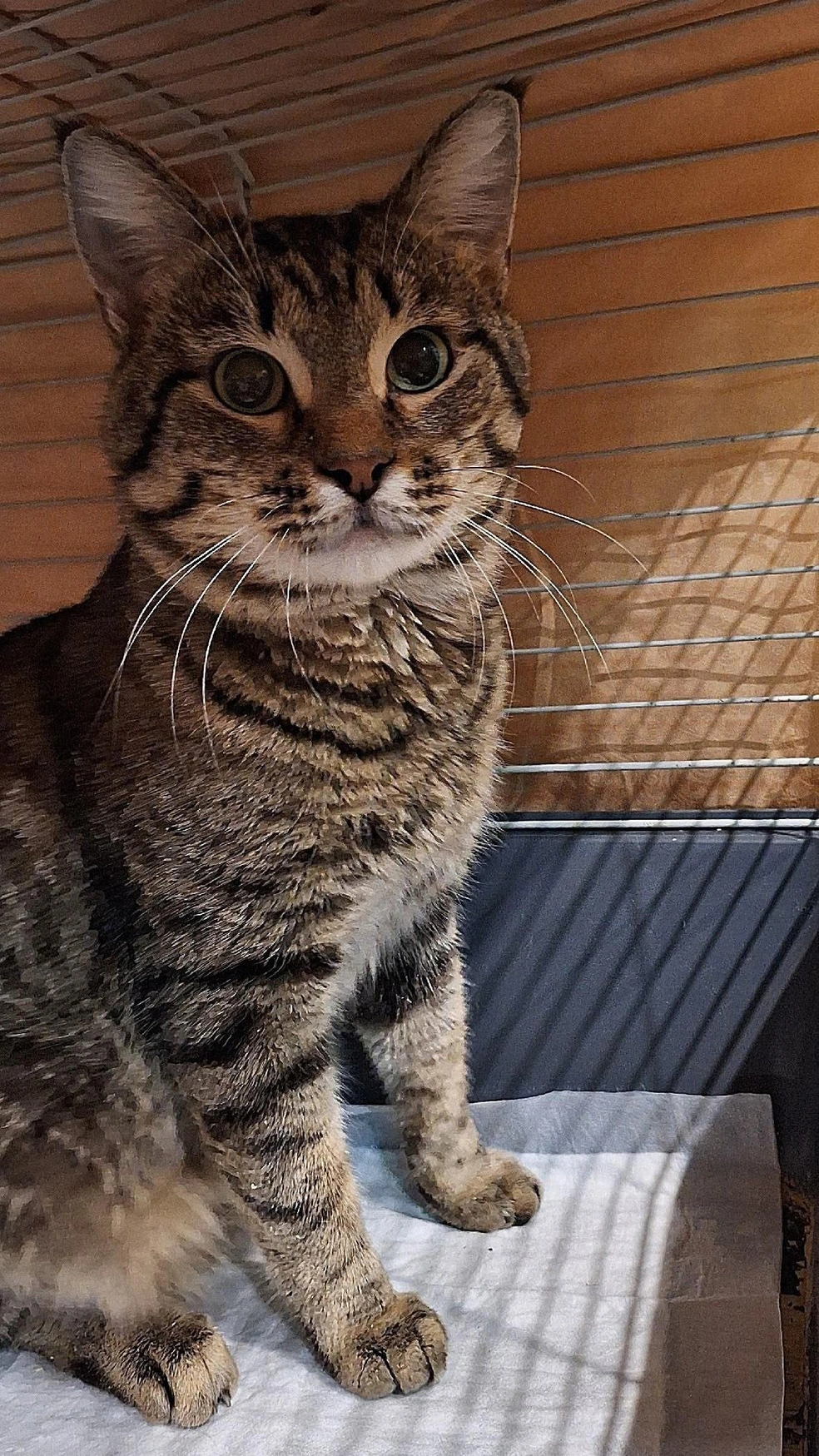 Источник: Анастасия Кондакова