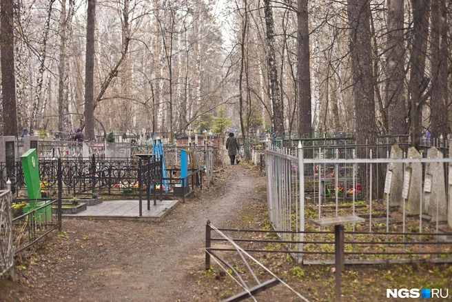 Технологии, возможно, облегчат многие тревожные процедуры | Источник: Татьяна Фатеева / NGS.RU