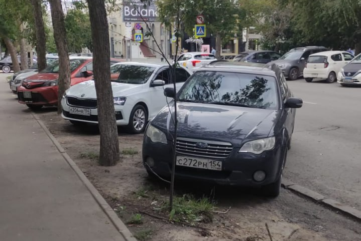 «Берегите природу, мать вашу»: водители убили зелёную зону в Новосибирске —антиэкологичная парковка