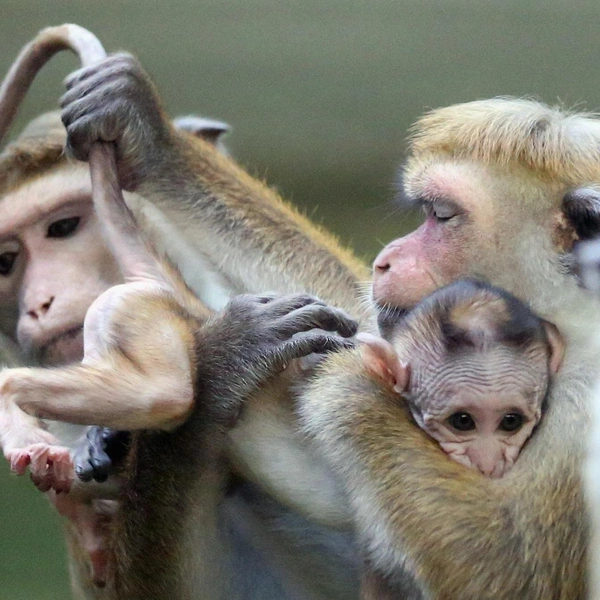 Источник: Соцсети