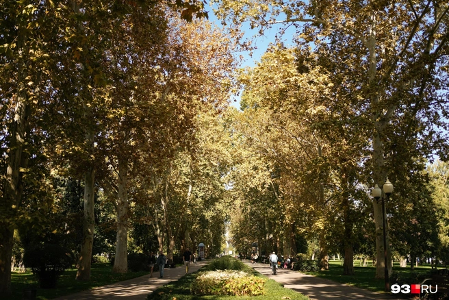 Пока одна часть краснодарцев натянула куртки, другая часть наслаждается прекрасной погодой | Источник: Дарья Паращенко / 93.RU