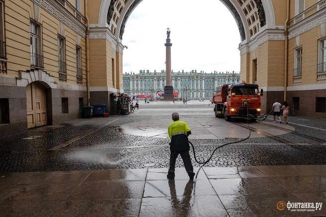 «Искусственный интеллект свободен от подкупа или эмоций». Как «Большой брат» следит за уборкой улиц в Петербурге | Источник: Огнев Михаил / «Фонтанка.ру»