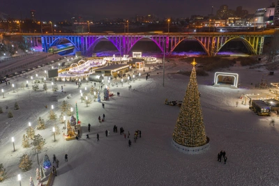 Где в Волгограде установить главную елку?
